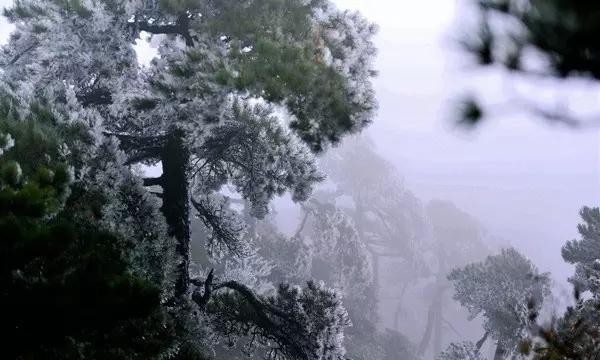 未经业委会讨论，物业公司调整物业费，业主可以拒交吗？