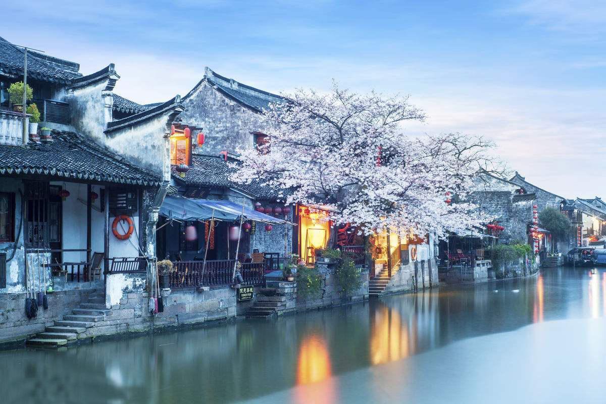 88影视